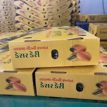 Kesar Mango Export Packing